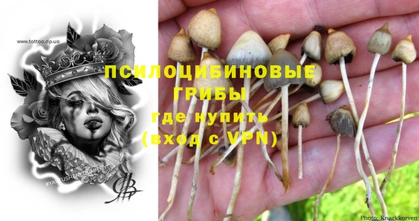 индика Алзамай