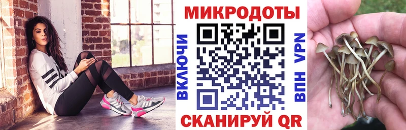 shop телеграм  Шумиха  Псилоцибиновые грибы Cubensis  hydra tor 
